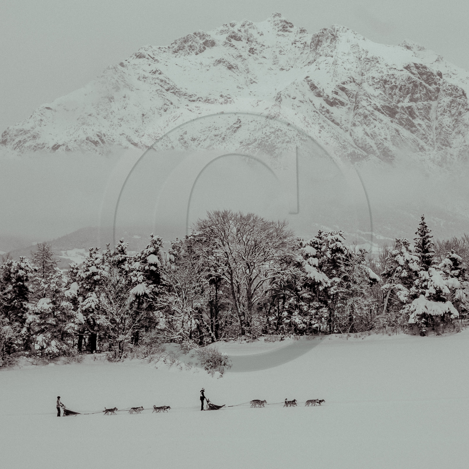 La Valgaude Traineau 2015