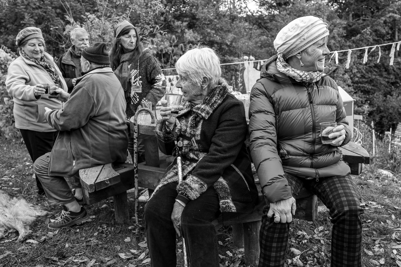 01 novembre 2023 : Des pommes et des soupes