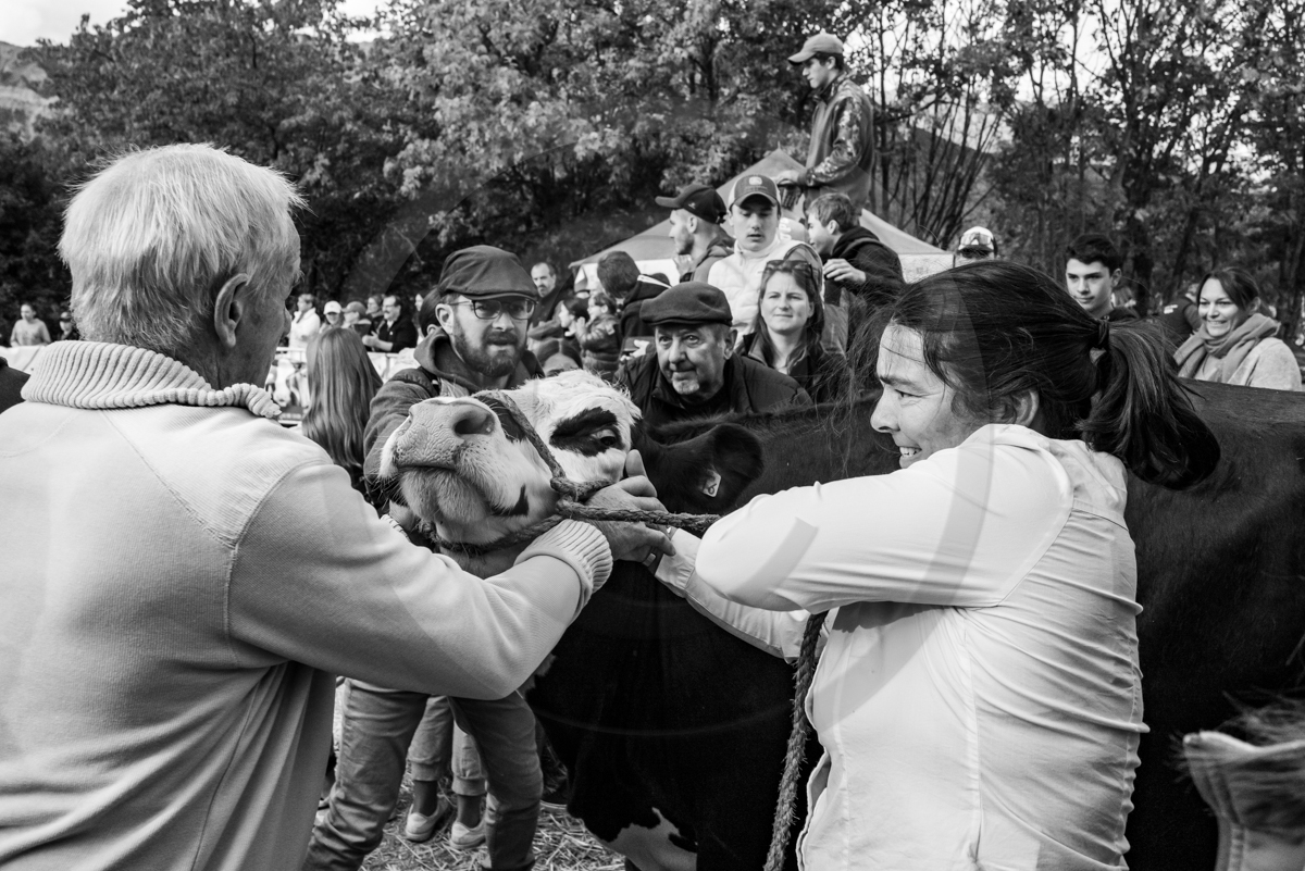 Rencontres paysannes à Saint-Bonnet en Champsaur