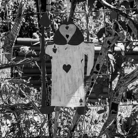 Atelier Fuseaux de lavande