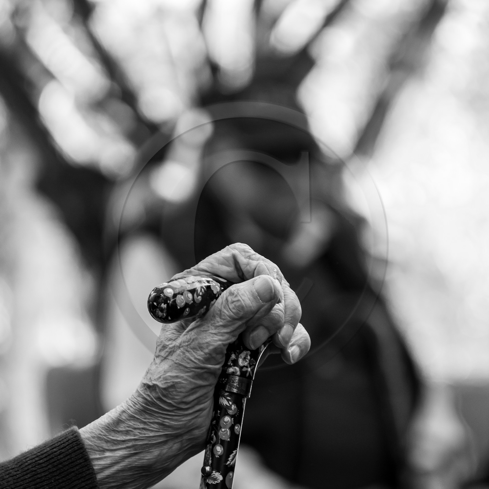 11 octobre 2023 : Chorale et Molky