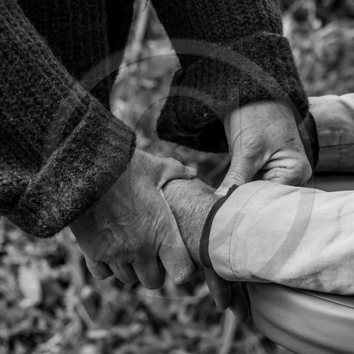 14 octobre 2022 : journée des aidants et des aidés