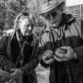 05 novembre 2022 : des pommes et des soupes