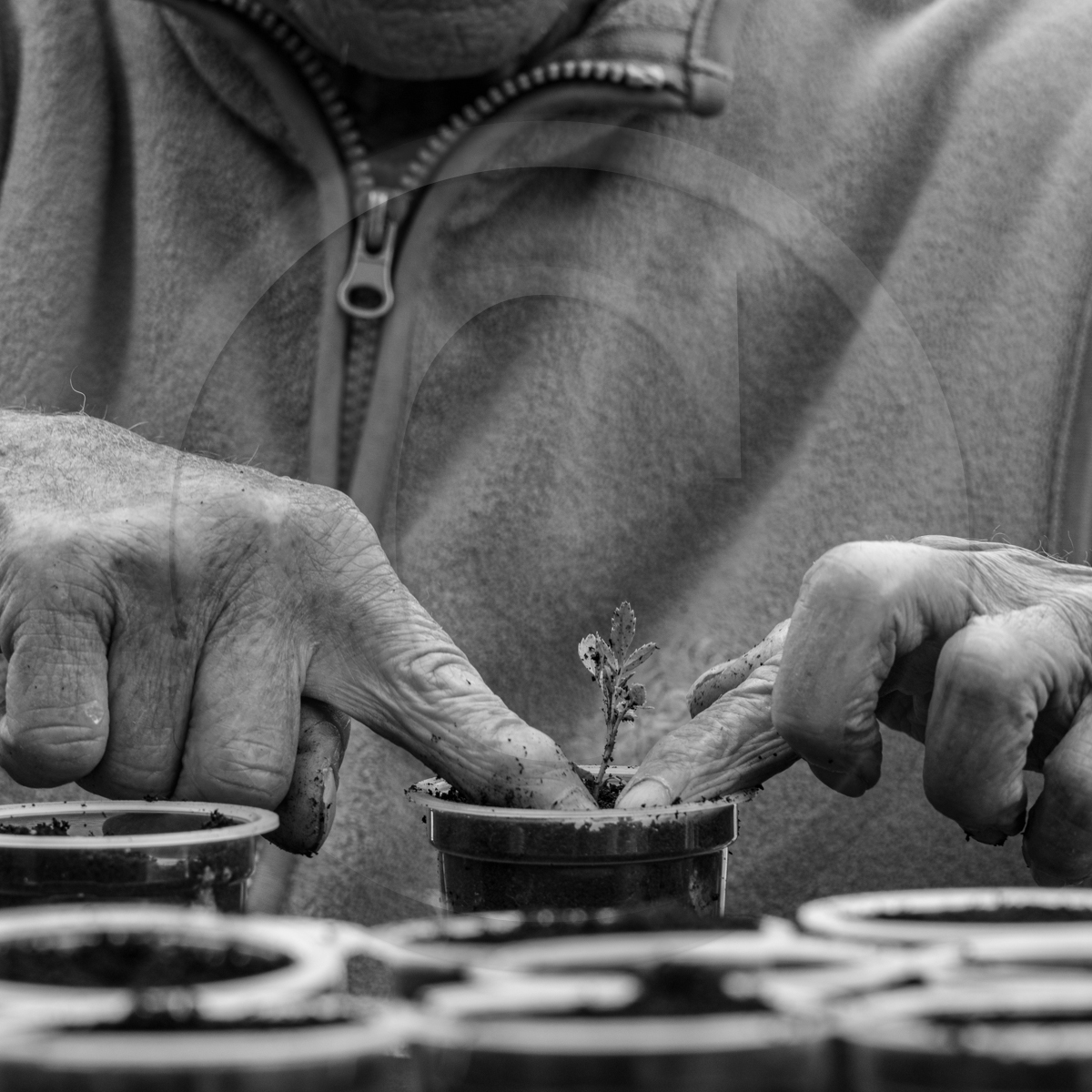 05 mai 2023 : L'UCC à l'Ouort