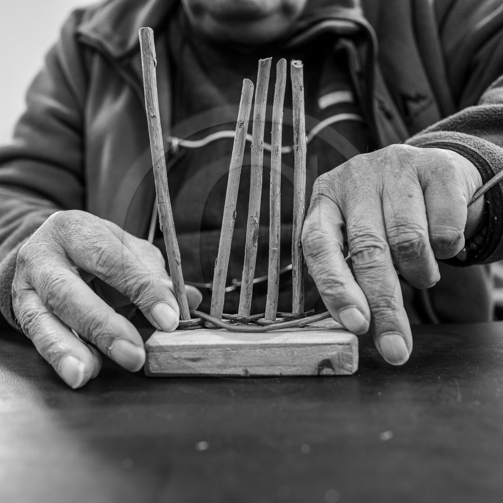 10 avril 2024 : Osier, laine et taille