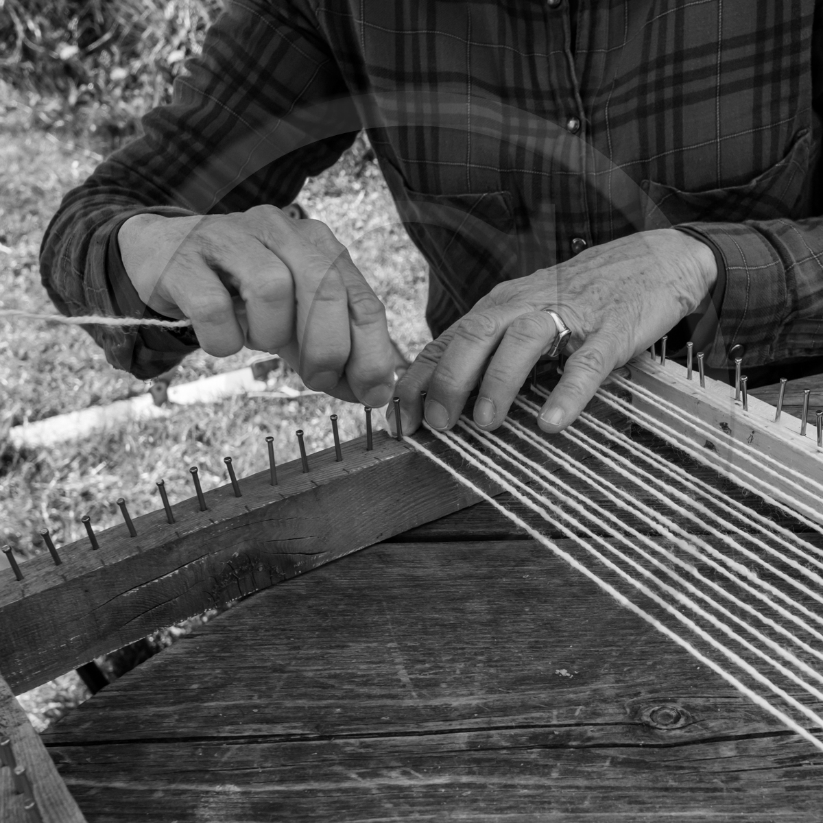 Atelier laine et promenade au jardin