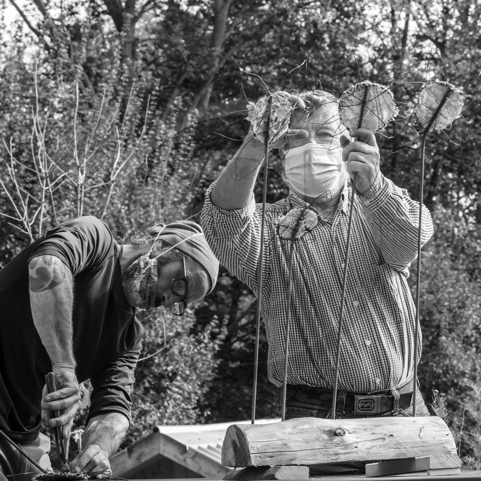 Fabrication de tournesols