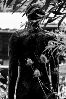 Exposition La forêt d'hommes, une création de Barbara Fougnon, artiste plasticienne