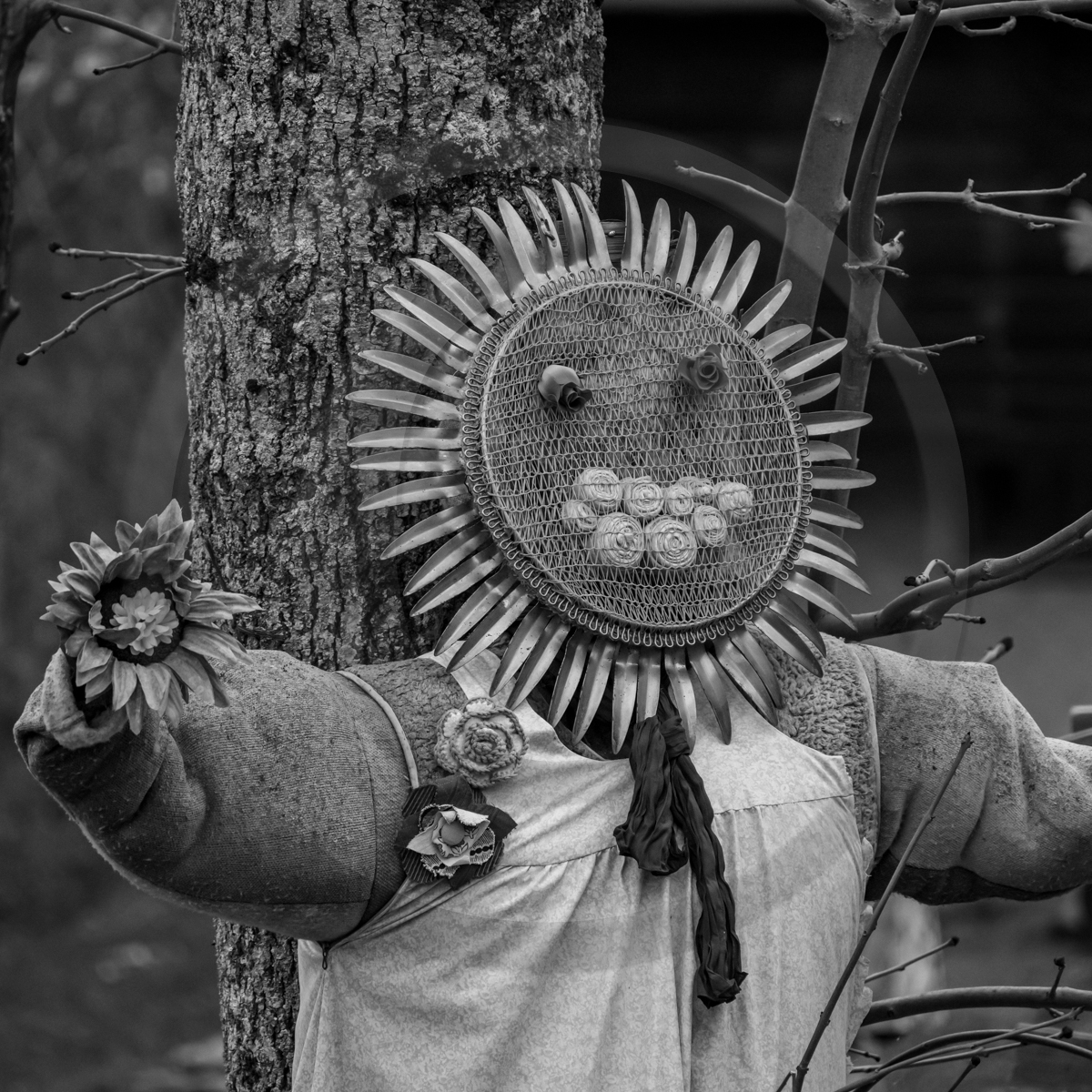 20 avril 2022 : des contes, des pommes de terre et un petit café