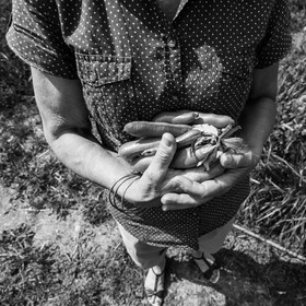 17 juillet 2019 : massages assis