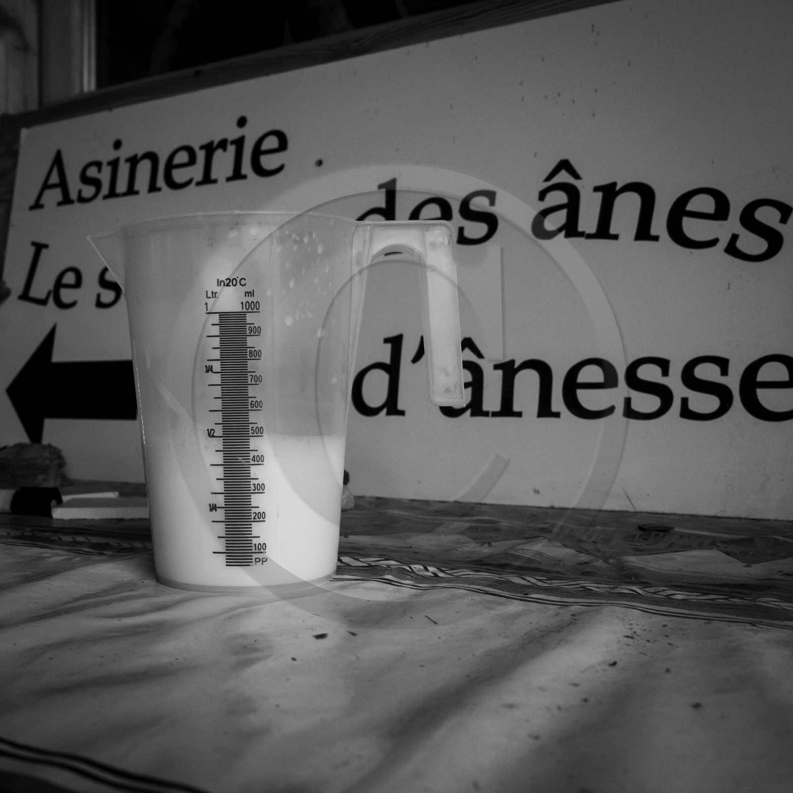L'asinerie Le sentier des ânes