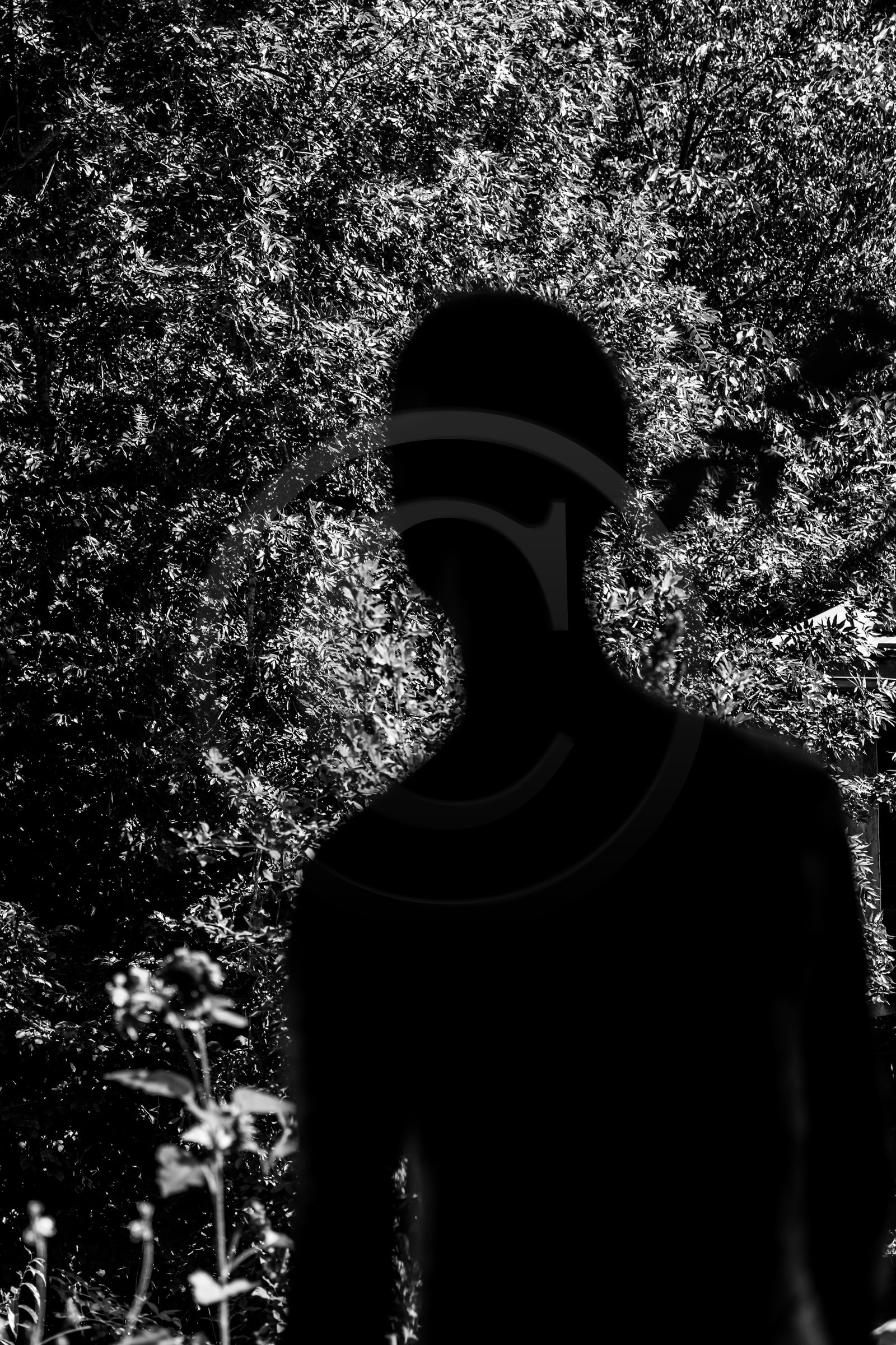 Exposition La forêt d'hommes, une création de Barbara Fougnon, artiste plasticienne