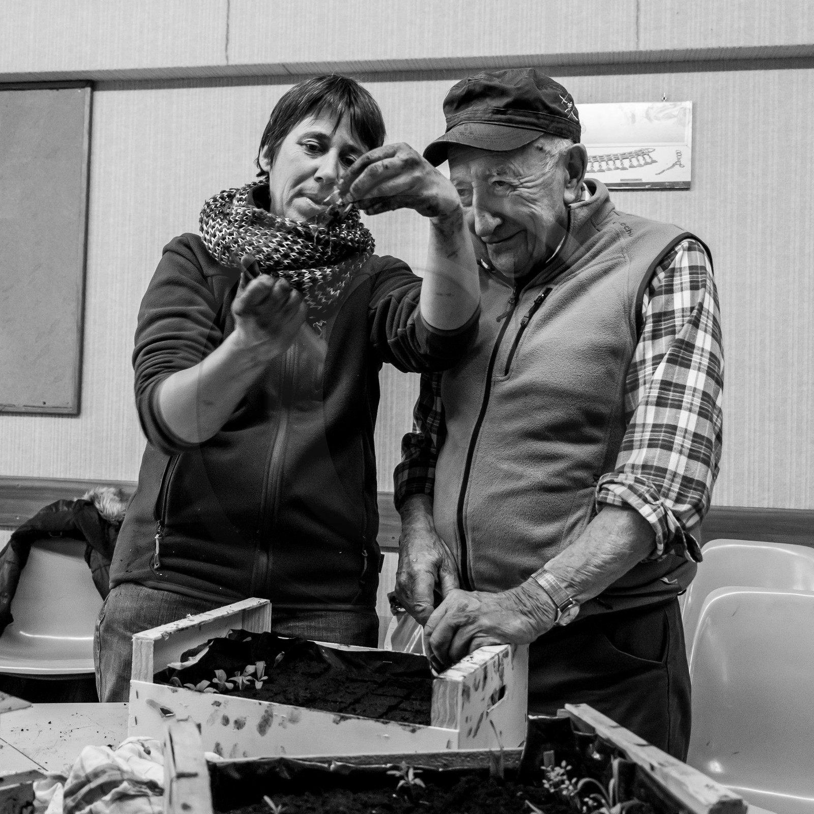 Atelier repiquage et semis - 26 04 2017