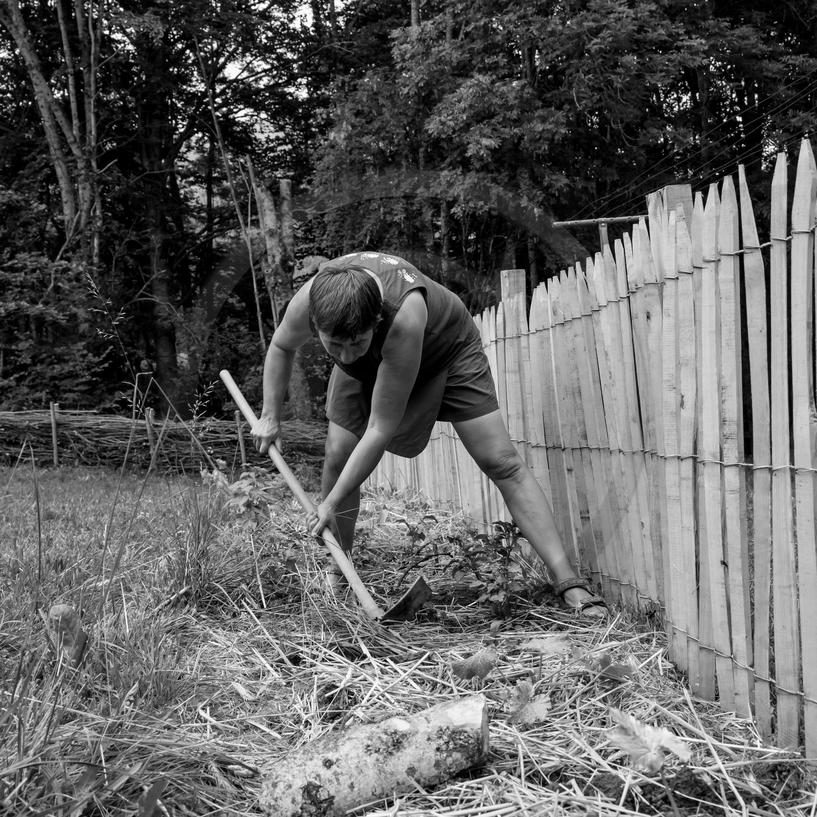 14 juin 2017 - Pose de la clôture