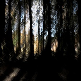 Le Pays des Arbres Flous