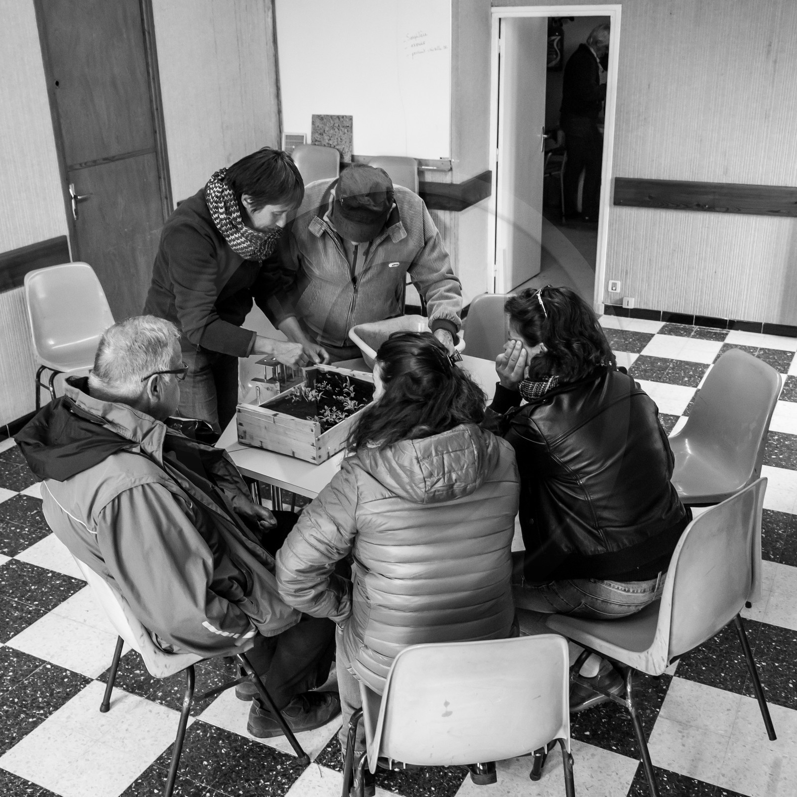 Atelier repiquage et semis - 26 04 2017