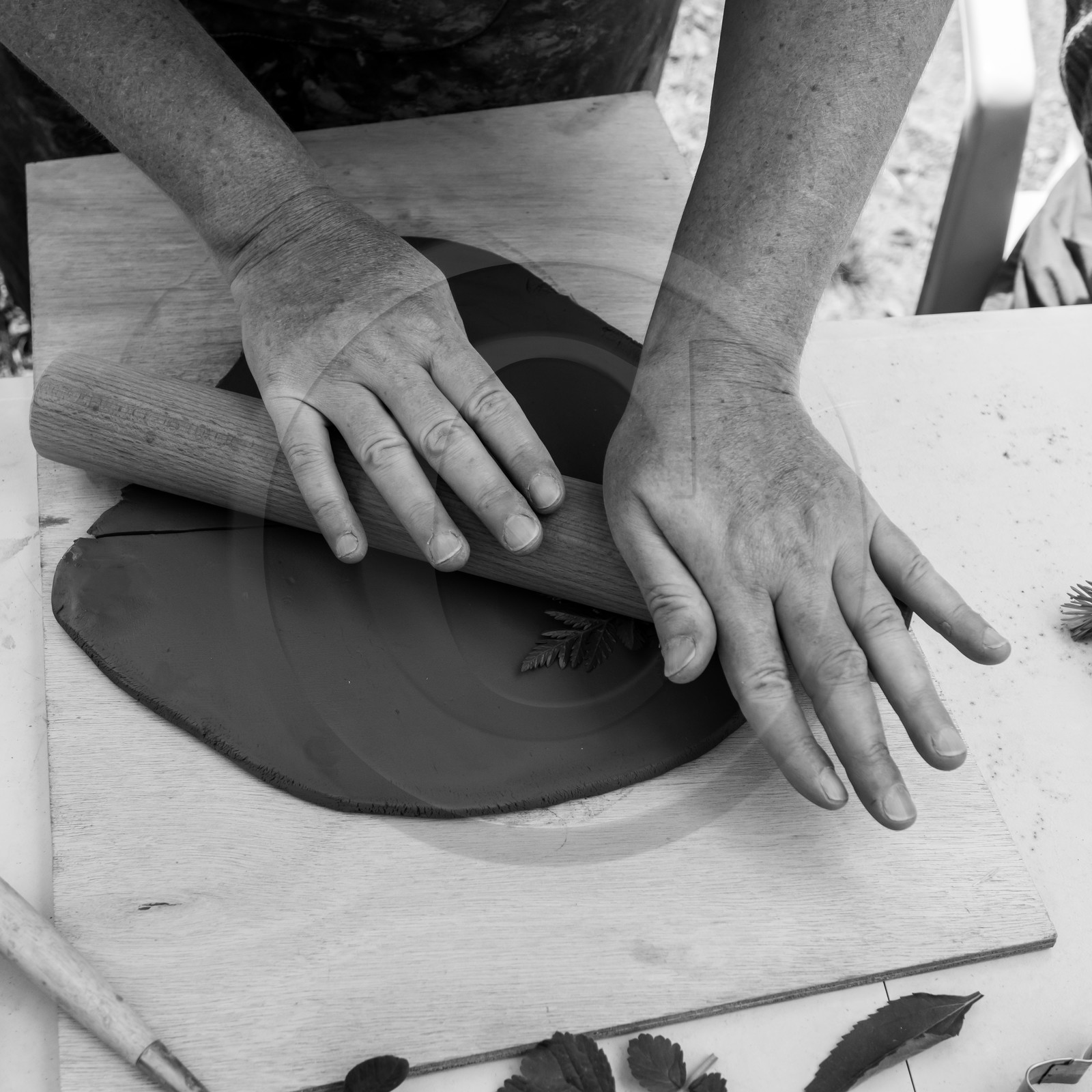 31 mai 2021 : Journée des aidants