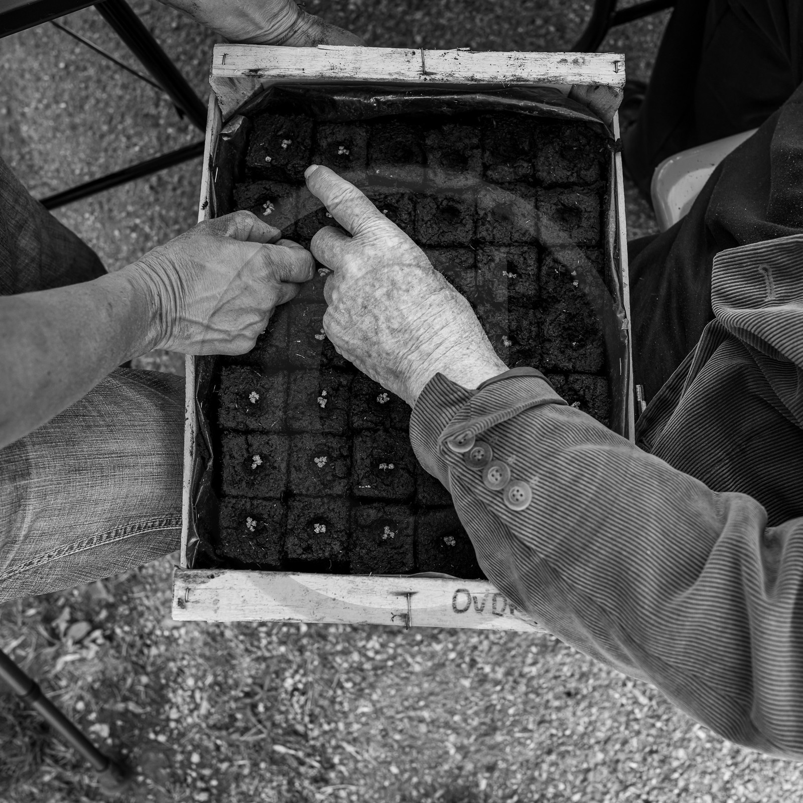 24 mai 2023 : du bricolage, du jardinage et une visite