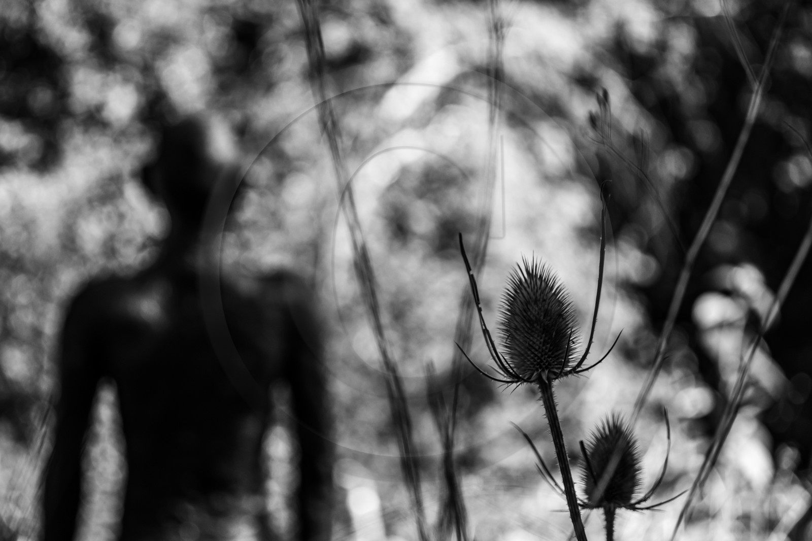 Exposition La forêt d'hommes, une création de Barbara Fougnon, artiste plasticienne