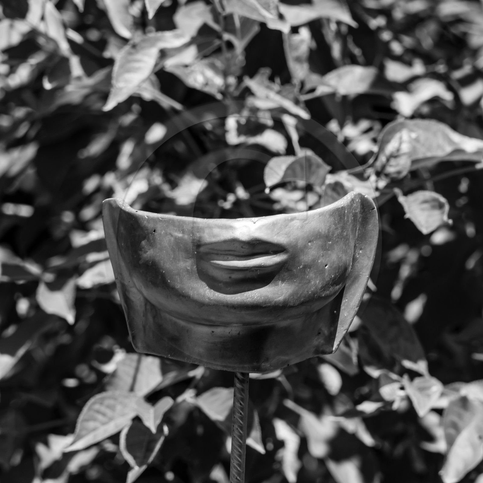 28 juillet 2021 : des jeux et des masques