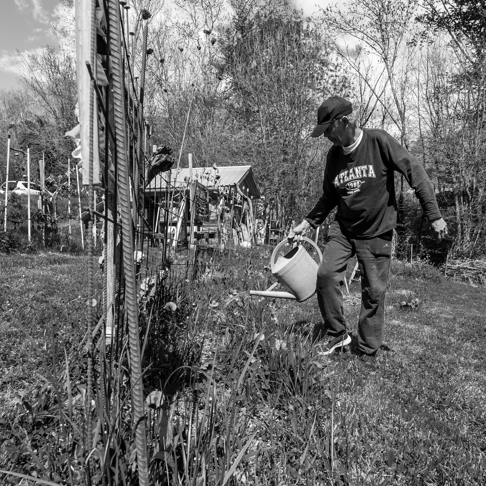 30 avril 2025 : Un oiseau en osier
