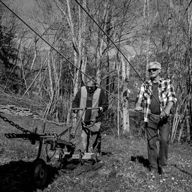 Labour avec un cheval - 17 04 17