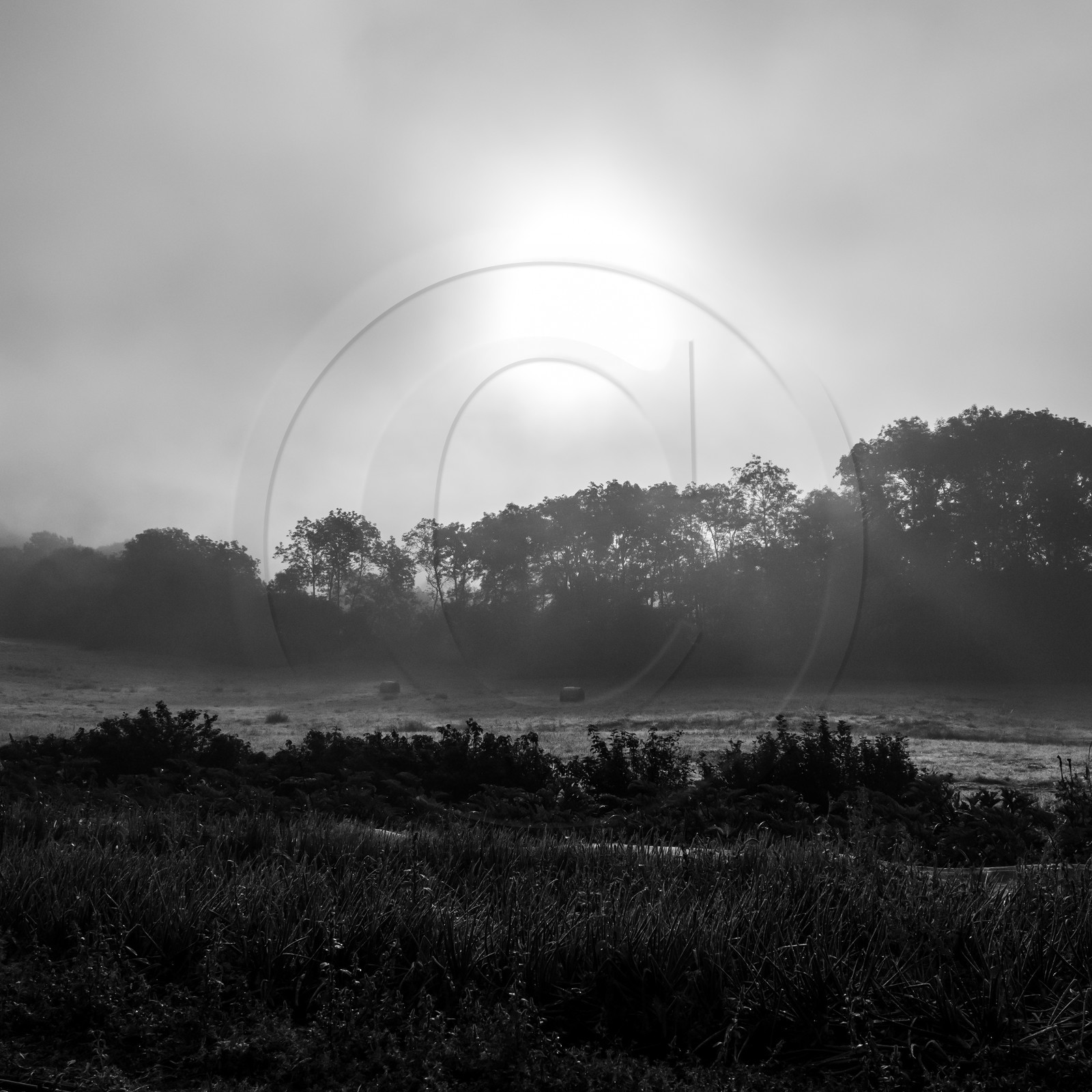 Maraichage biologique dans le Champsaur