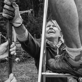 21 août 2019 : installation d'une oeuvre en bois flotté