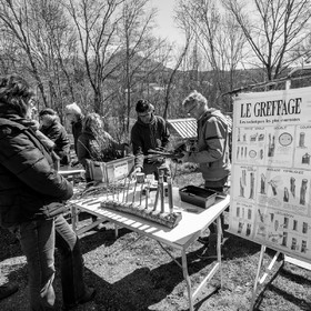 10 avril 2022 : Initiation à la greffe d'arbres fruitiers