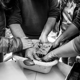 Atelier repiquage et semis - 26 04 2017