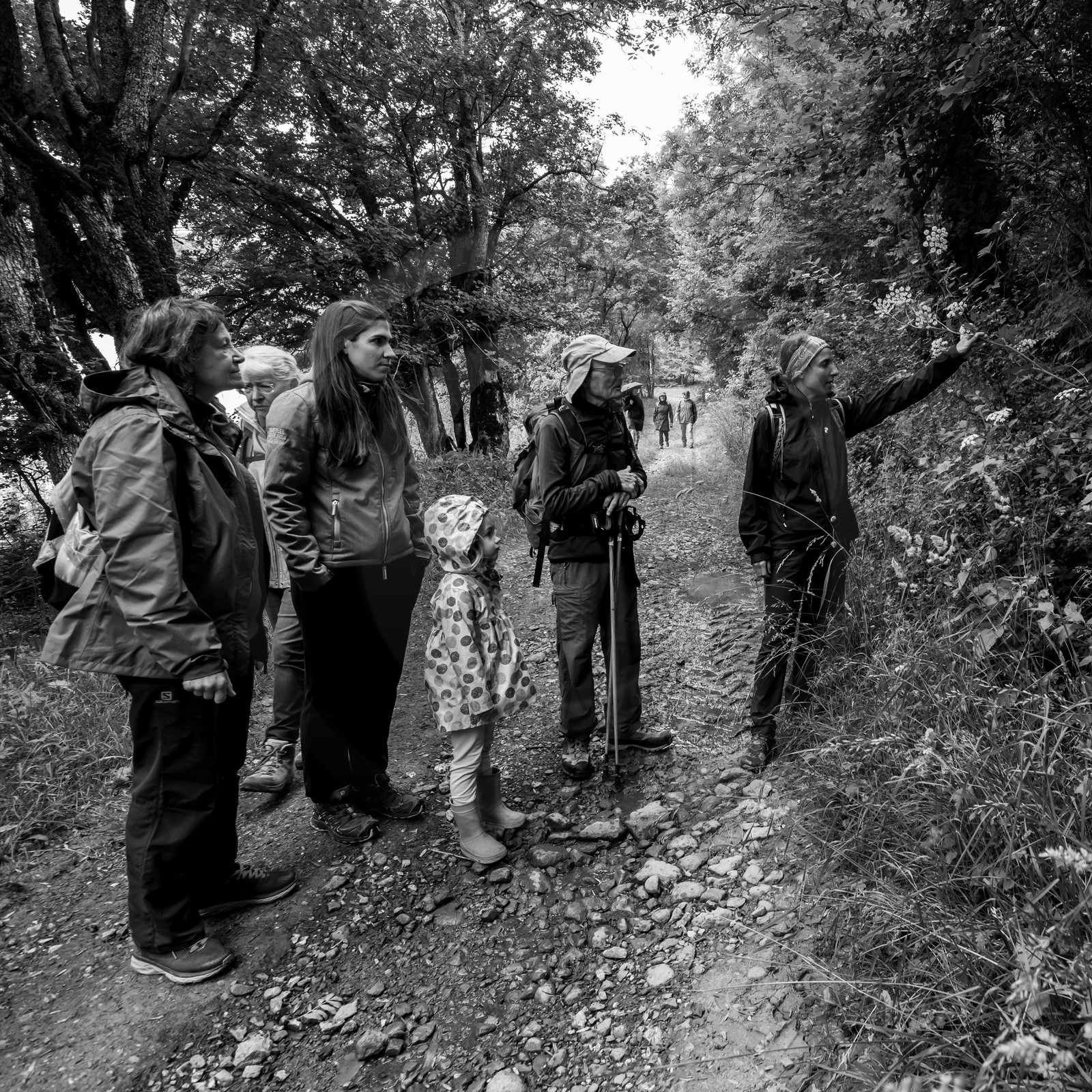 04 juillet 2021 : Journée Art & Nature