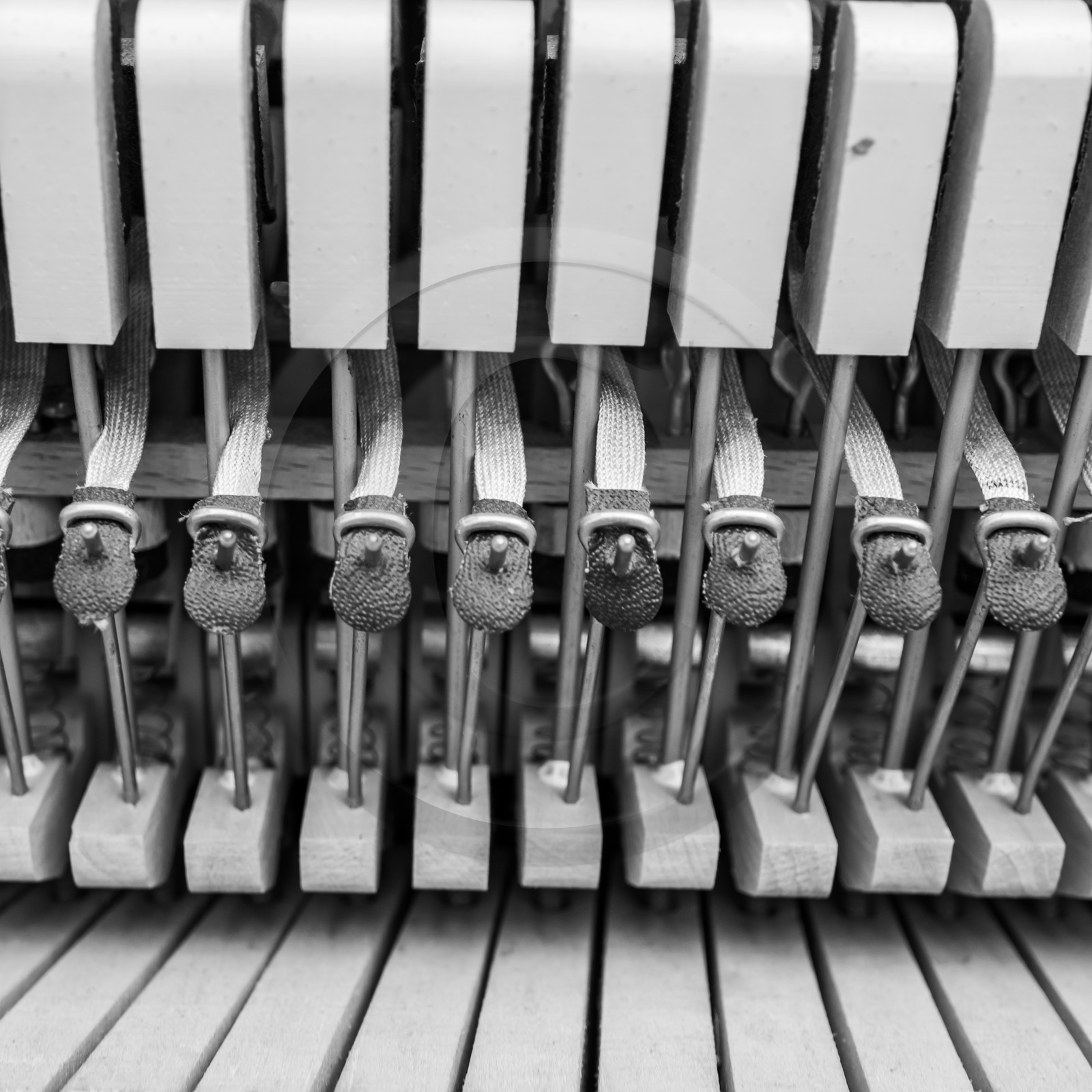 Animation musicale avec Philippe Séranne