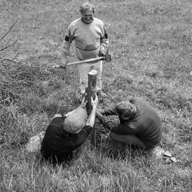 03 mai 2017 - Bac, semis et plantations