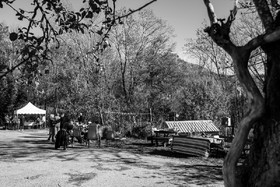 05 novembre 2022 : des pommes et des soupes