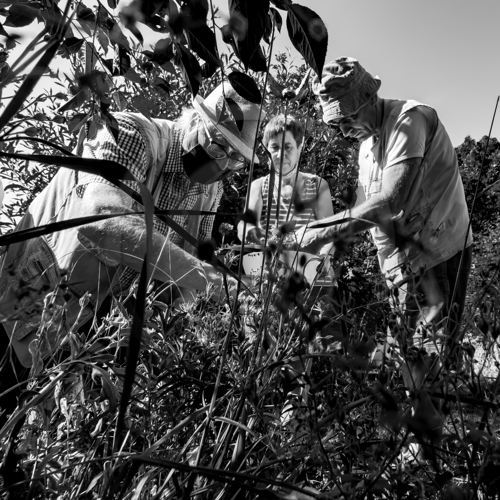 16 août 2021 : Journée des aidants