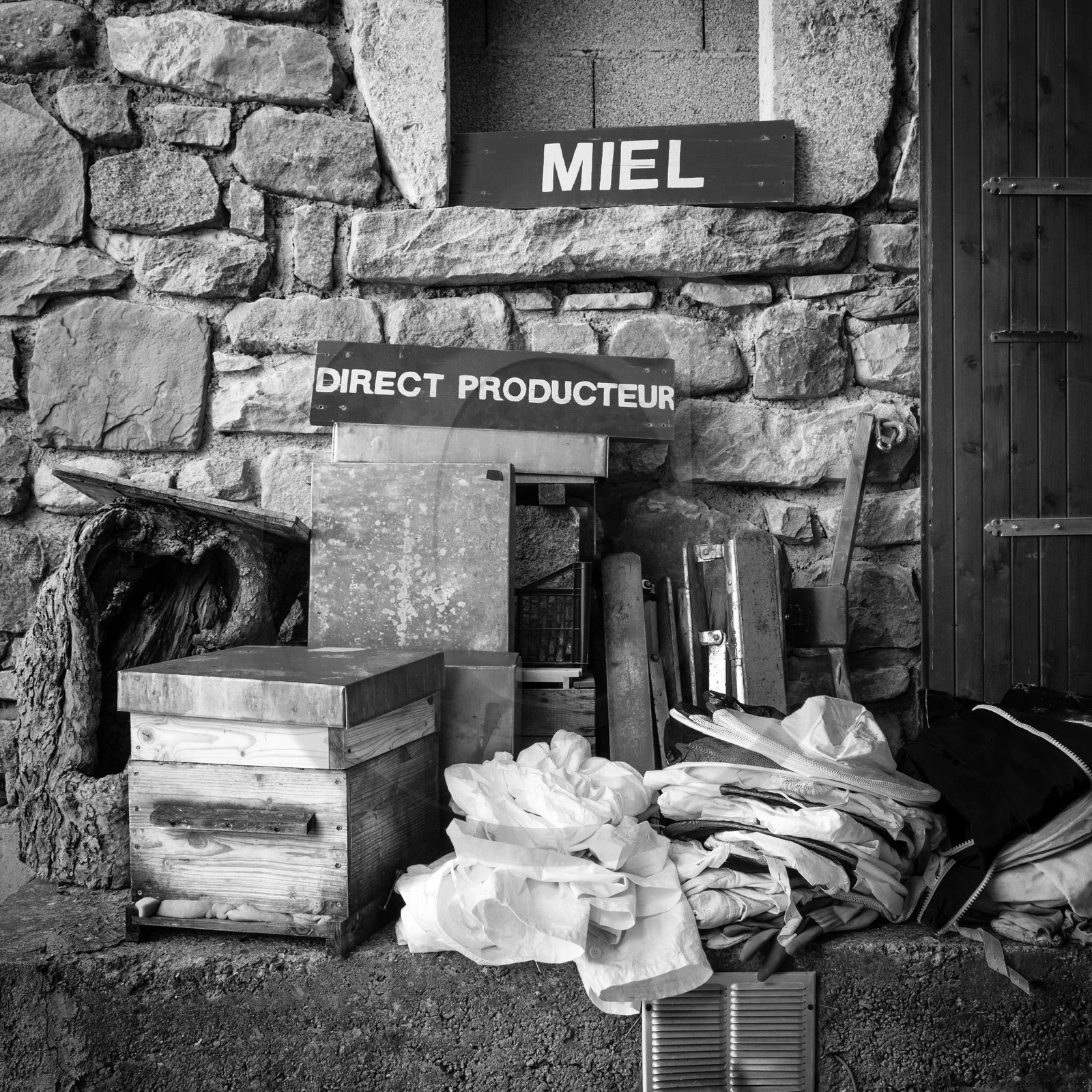 Visite au Rucher des Noisetiers