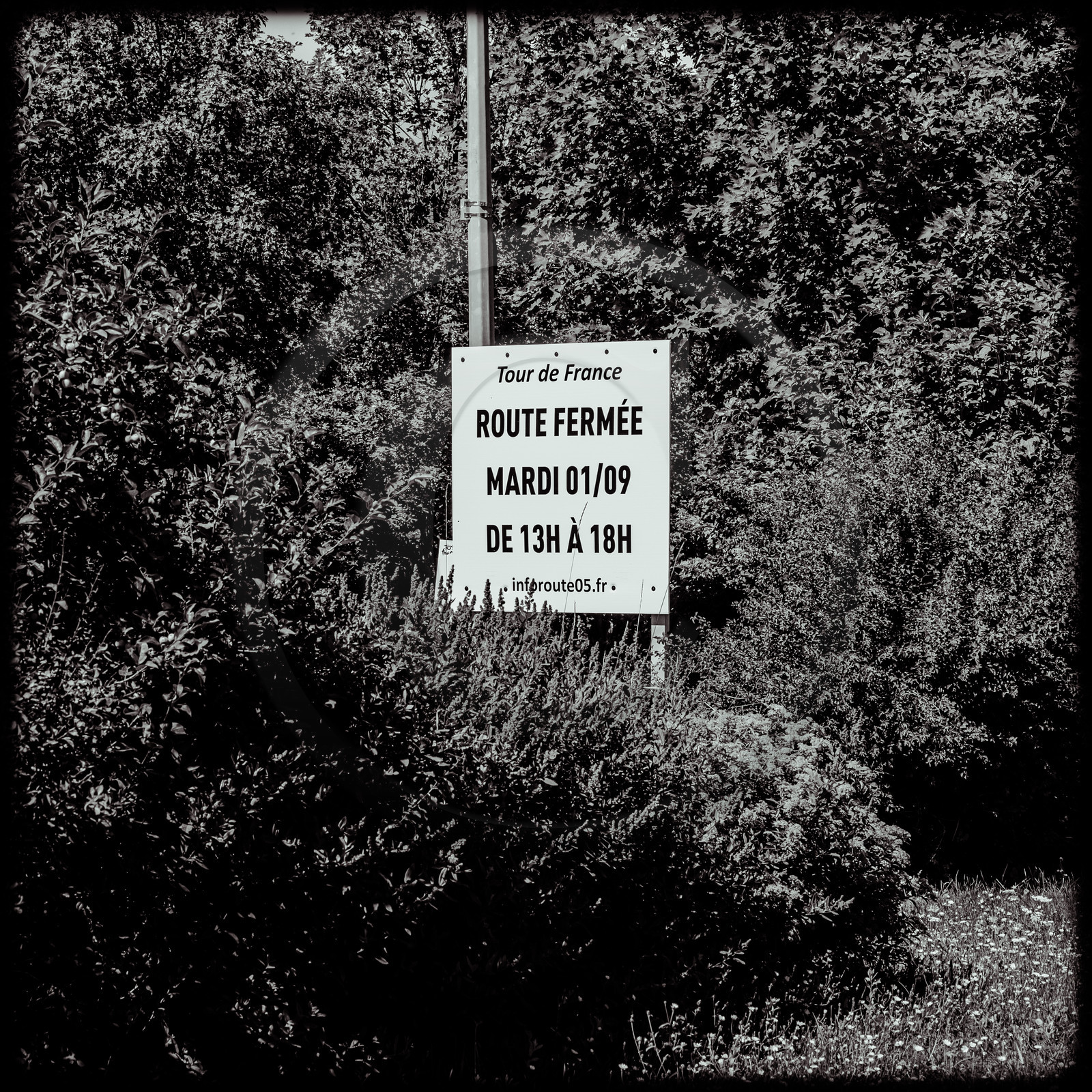 Tour de France cycliste 2020