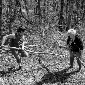 Nettoyage du terrain - Coupe du bois - 29 03 17