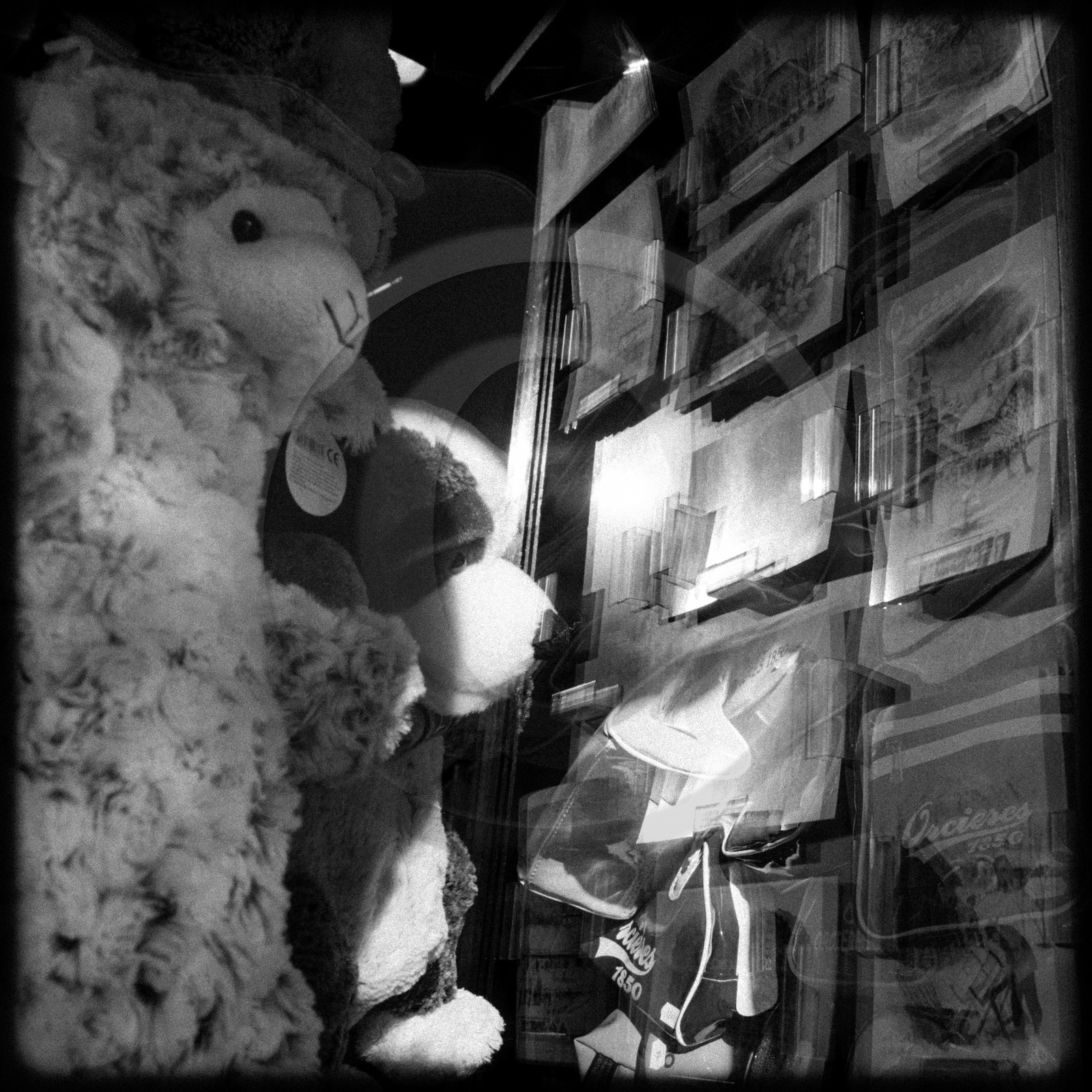 Une montagne de souvenirs