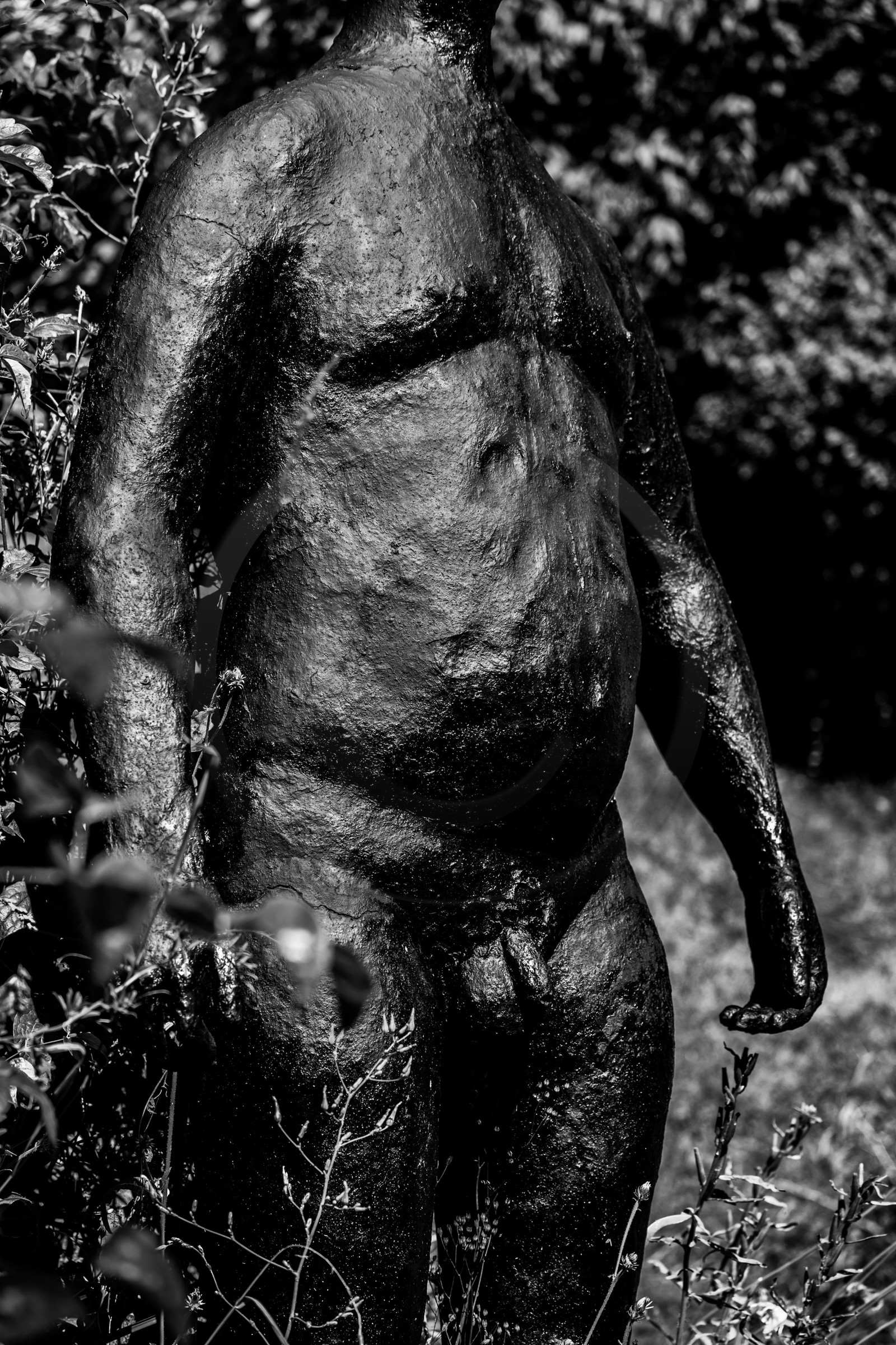 Exposition La forêt d'hommes, une création de Barbara Fougnon, artiste plasticienne