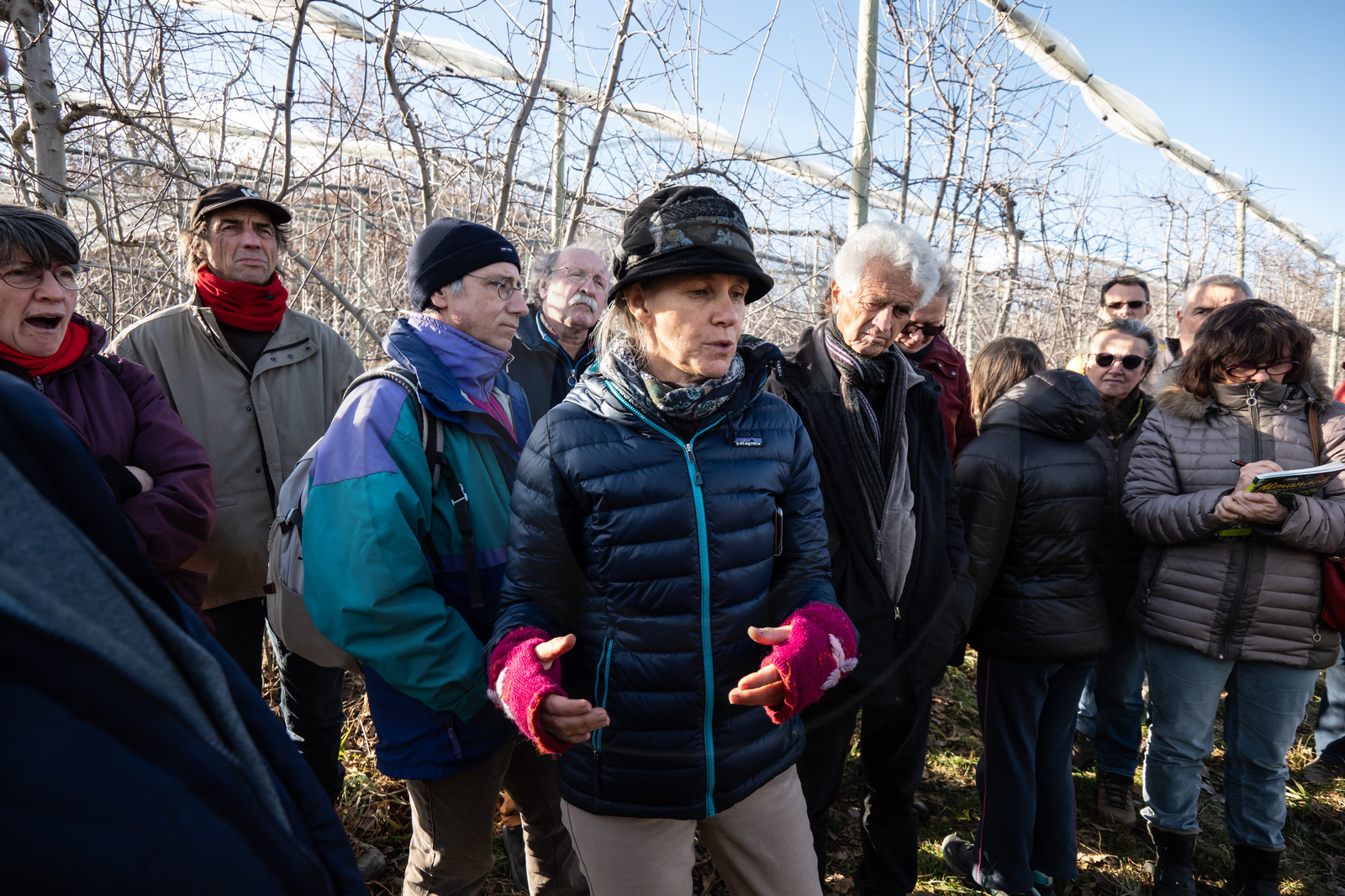 Croqueurs de pommes des Alpes Latines