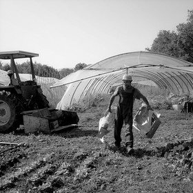 Stéphane Saint-Aubin, maraicher à Pelleautier