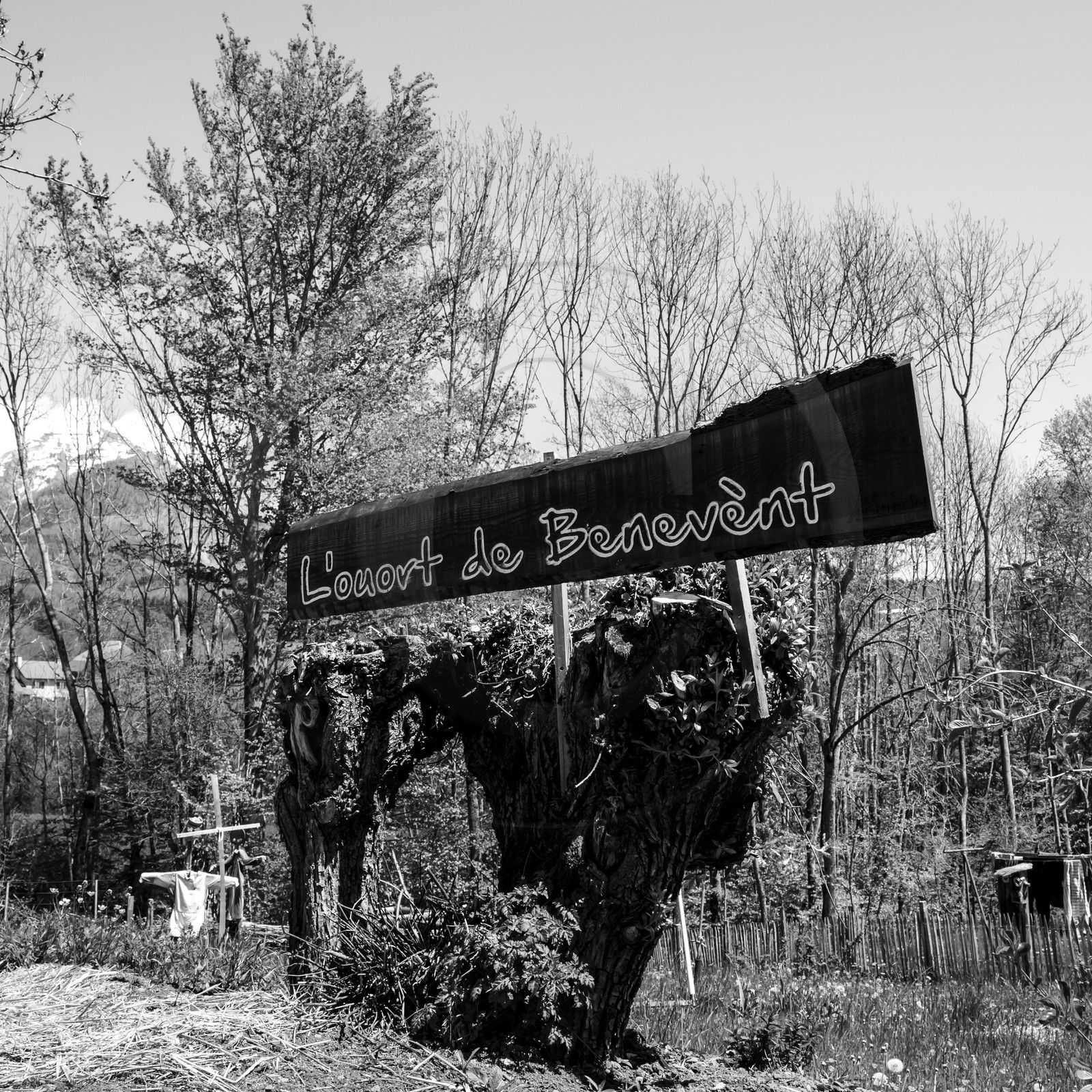 15 mai 2019 : création de fleurs en plastique