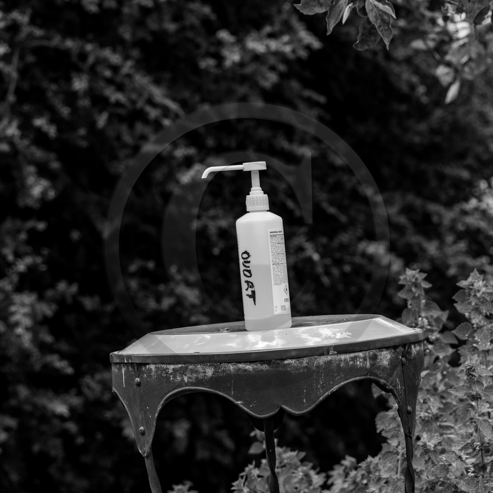 28 juin 2021 : Journée des aidants à l'Ouort.