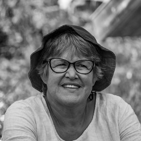 29 juin 2022 : Découverte des plantes sauvages