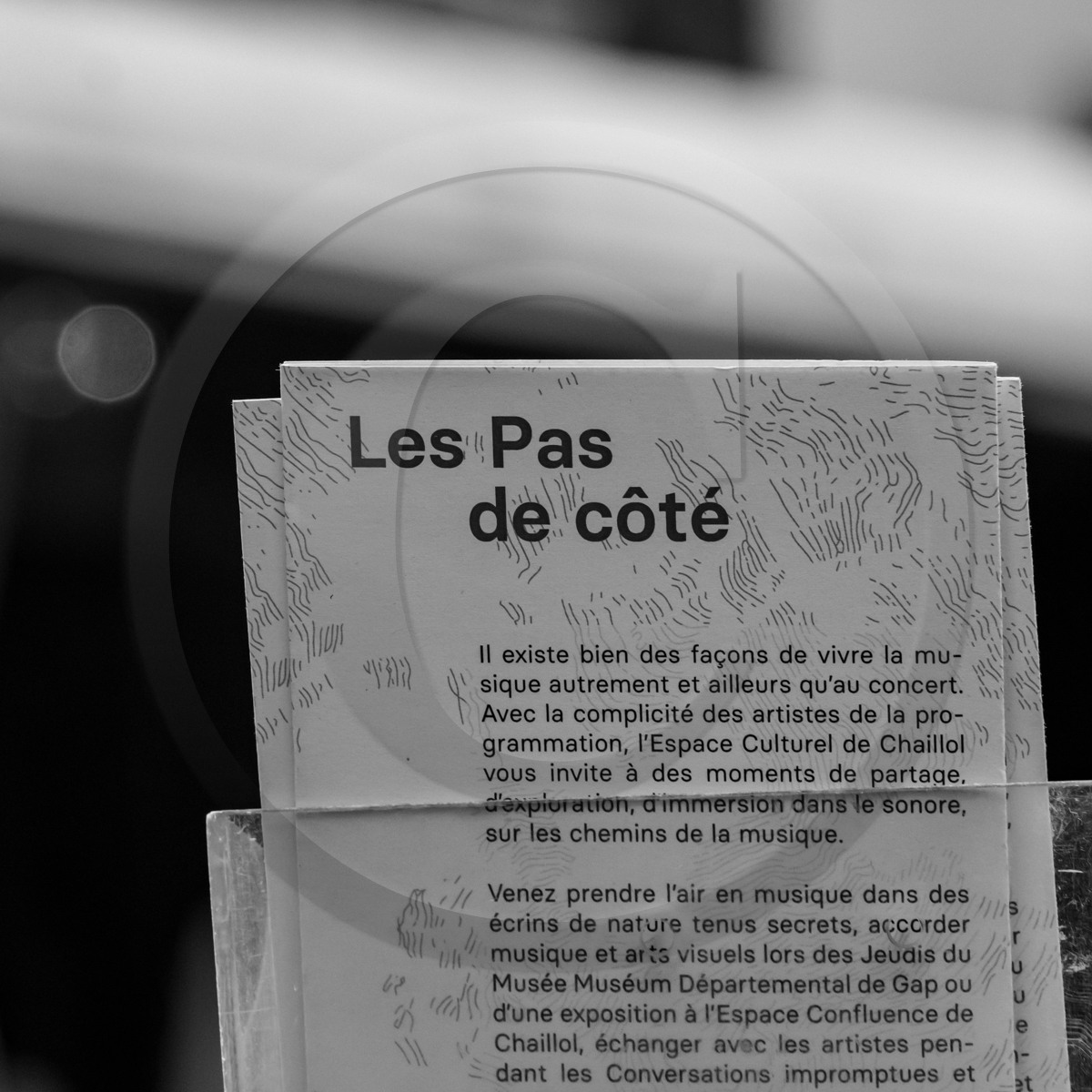 Jeanne Bleuse - Festival de Chaillol