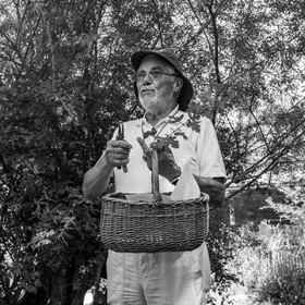 29 juin 2022 : Découverte des plantes sauvages