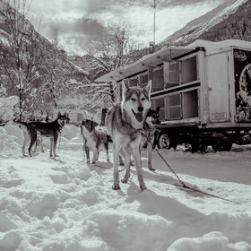 La Valgaude Traineau 2015