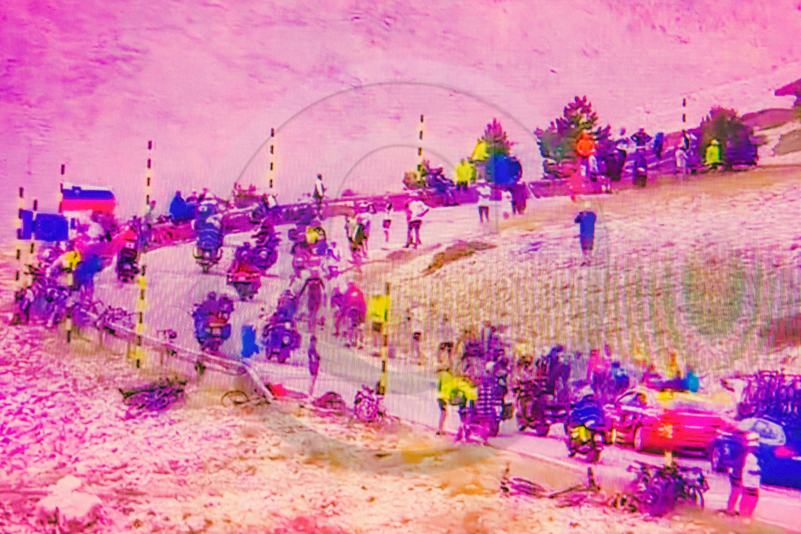 Le Tour de France cycliste 2021