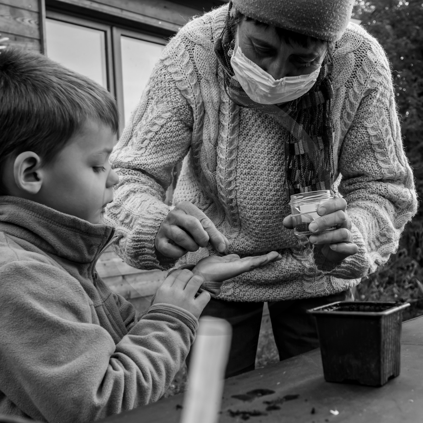 Semis, tournesols et jeux